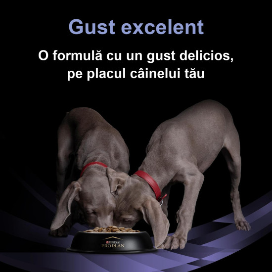 Purina Pro Plan Canine FortiFlora – Supliment Probiotic pentru Câini – 30 Plicuri